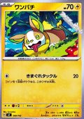 【ノーマル】ワンパチ
