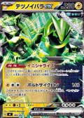 【ノーマル】テツノイバラex