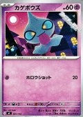 【ノーマル】カゲボウズ