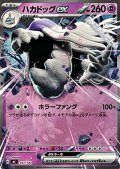 【ノーマル】ハカドッグex