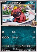 【ノーマル】ペパーのオラチフ