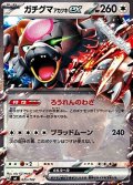 【ノーマル】ガチグマ アカツキex