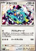 【ノーマル】テラパゴス