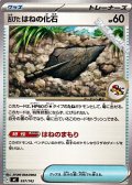 【ノーマル】古びたはねの化石