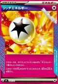 【ノーマル】リッチエネルギー