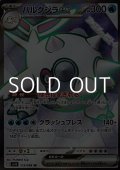 【SR】ハルクジラex