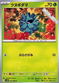 画像1: 【C】クヌギダマ