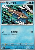 【C】サシカマス