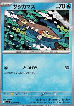画像1: 【C】サシカマス