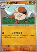 【C】オコリザル