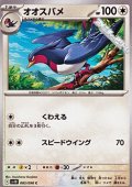 【C】オオスバメ