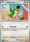 【C】イキリンコ