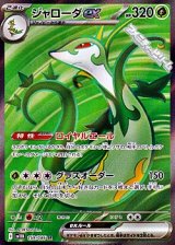【SR】ジャローダex