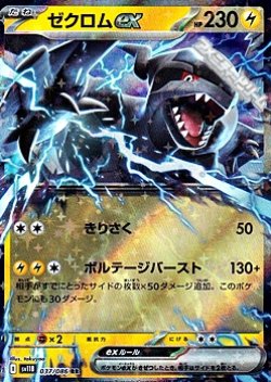 画像1: 【RR】ゼクロムex