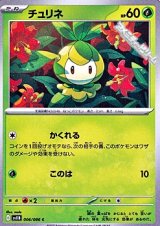 【C】チュリネ