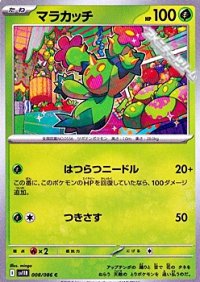 【C】マラカッチ