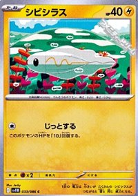 【C】シビシラス
