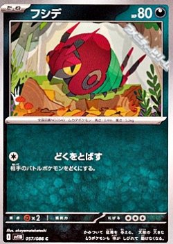 画像1: 【C】フシデ