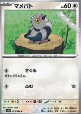 【C】マメパト