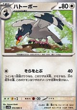 【C】ハトーボー