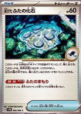 【C】古びたふたの化石