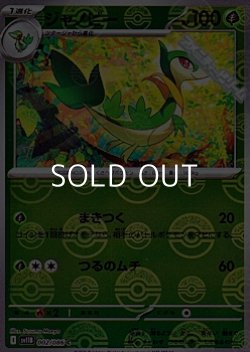 画像1: 【ミラー】ジャノビー