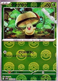 【ミラー】タマゲタケ