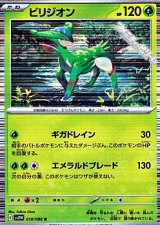 【R】ビリジオン
