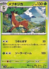 【U】メブキジカ