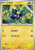 【C】シママ
