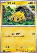 【C】バチュル
