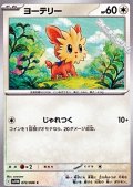 【C】ヨーテリー