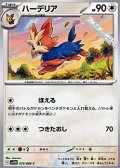 【C】ハーデリア