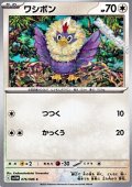 【C】ワシボン