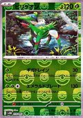 【マスターボールミラー】ビリジオン