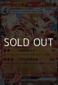 【RR】ウインディex