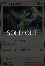 【R】モトトカゲ