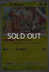 【C】コフキムシ