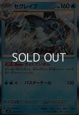 【R】セグレイブ