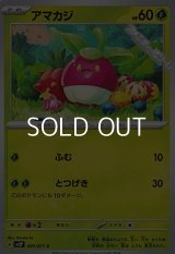 【C】アマカジ