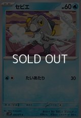 【C】セビエ