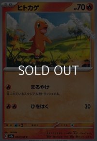 【C】ヒトカゲ