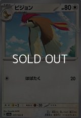 【C】ピジョン