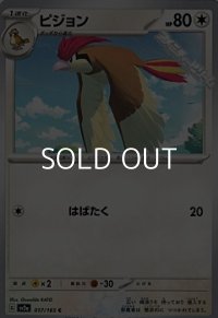【C】ピジョン