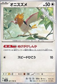 【C】オニスズメ
