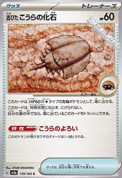 画像1: 【C】古びたこうらの化石