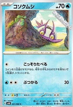 画像1: 【C】コソクムシ