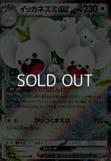 【RR】イッカネズミex