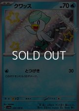 【S】クワッス