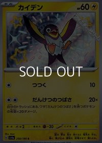 【S】カイデン